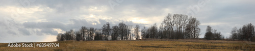 panoramic view of the autumn woods and fields