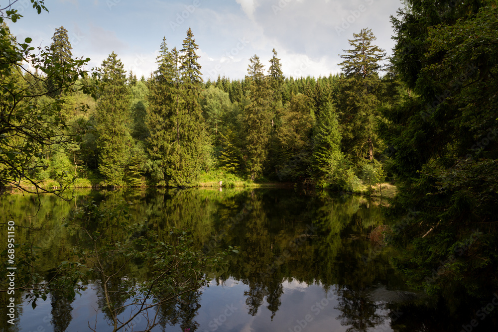 Silberteich, Harz