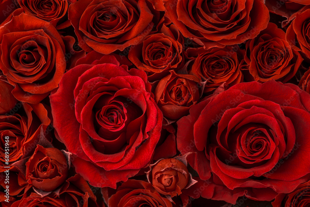 薔薇の花束のクローズアップ 薔薇の花束のクローズアップ