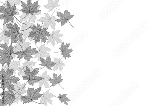 Dry autumn maple leaves silhouettes background