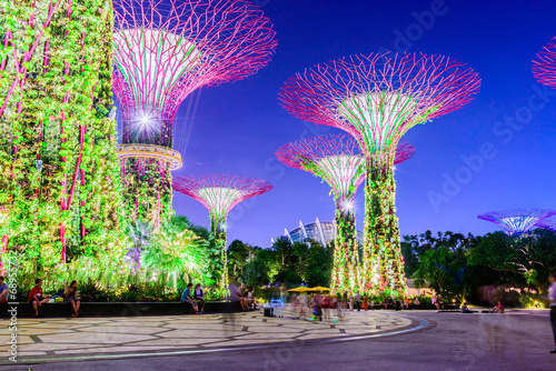 Garden by the bay photo