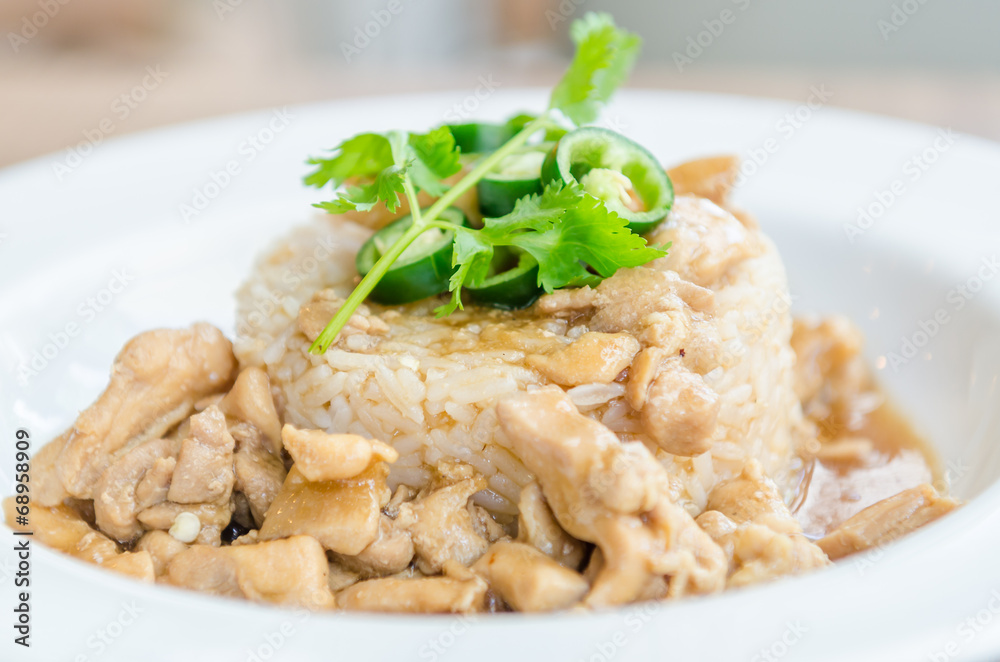 Chicken with brown sauce on rice Chicken with brown sauce on rice