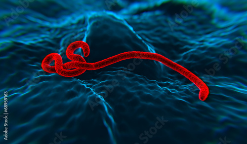 Ebola wirus 2