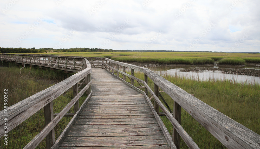 Swamp Boardwalk