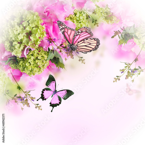 Fototapeta Naklejka Na Ścianę i Meble -  Bright spring chrysanthemum, floral background