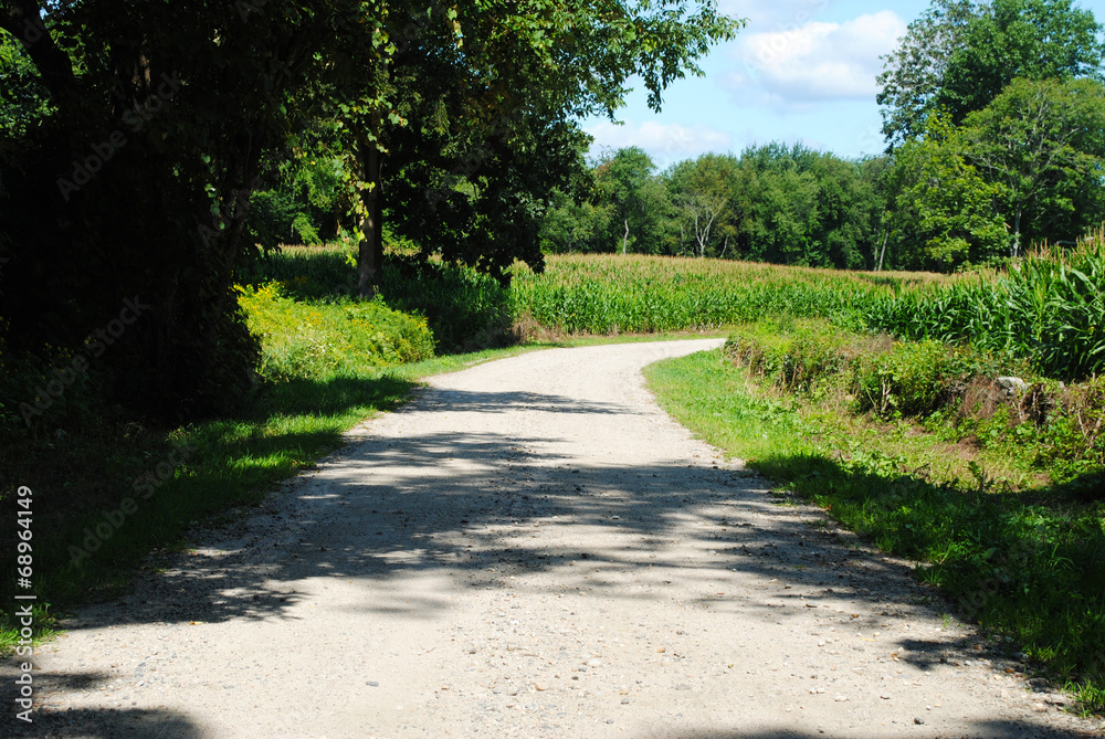 Dirt Road in a Country Setting on a Summer Day Dirt Road in a Country Setting on a Summer Day
