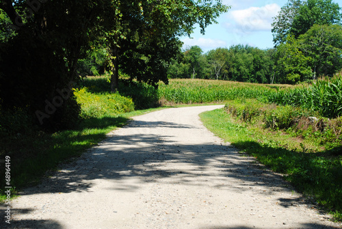 Dirt Road in a Country Setting on a Summer Day