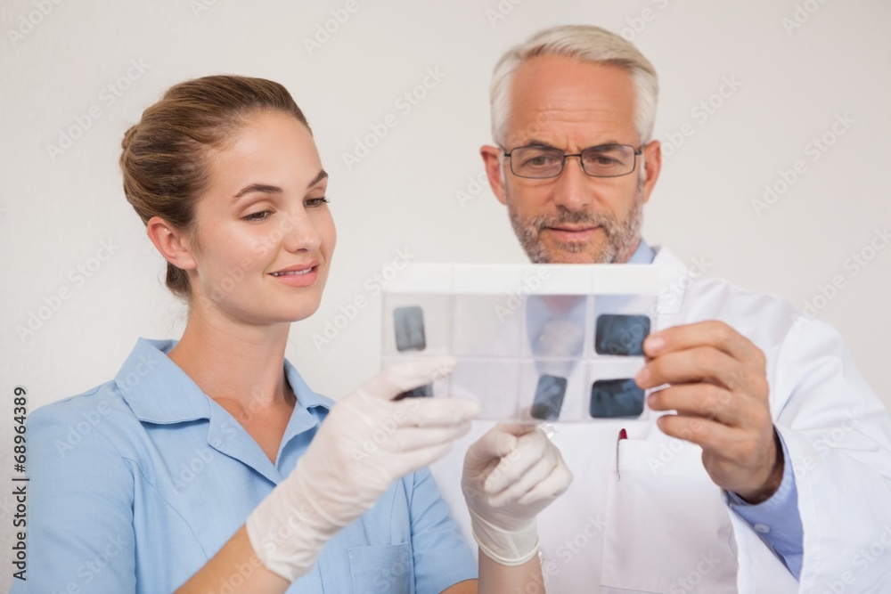 Dentist and assistant studying x-rays Dentist and assistant studying x-rays