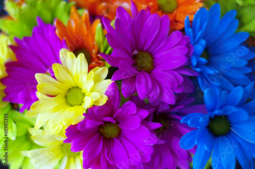 Bright colorful flower bouquet closeup