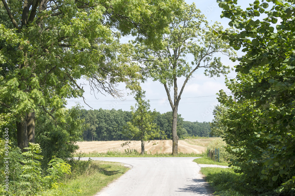 Scenic country road with single tree and blue sky. Scenic country road with single tree and blue sky.