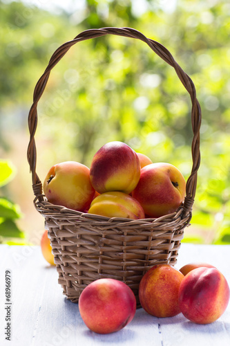 Basket of ripe fruit nectarines