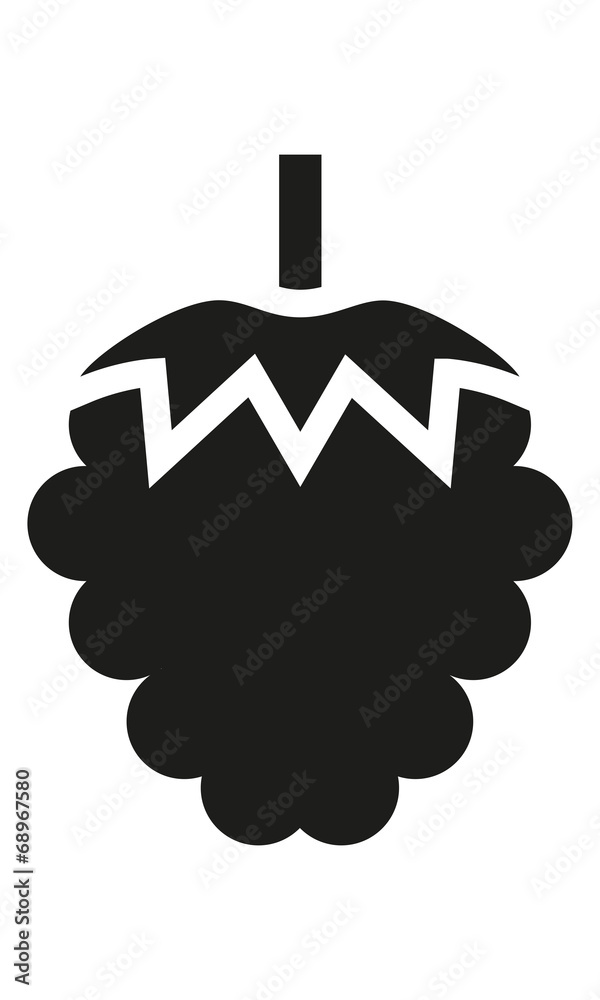 Fototapeta premium Himbeere