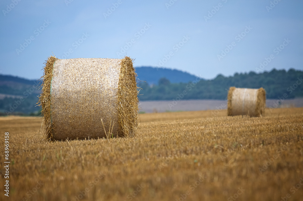 harvested field with straw bales in summer