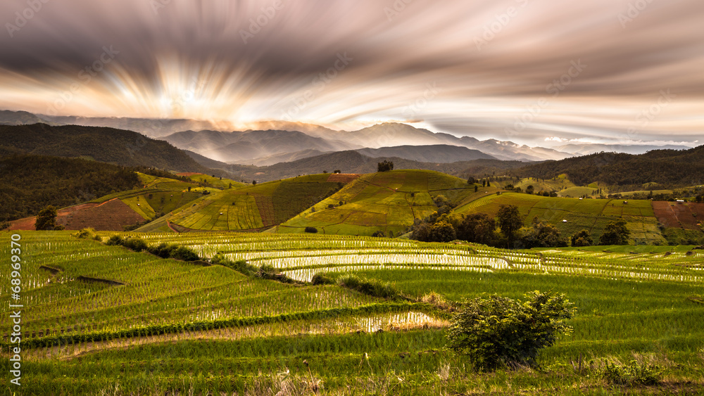 Obraz premium Rice fields on terraced of Pa Pong Piang ,Mae Jam, Chiang Mai ,T