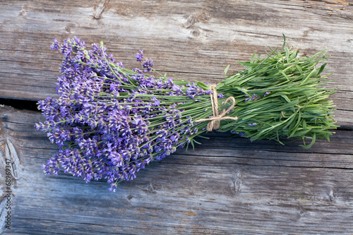 Fototapeta Naklejka Na Ścianę i Meble -  lavender