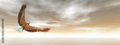 Bald eagle flying - 3D render