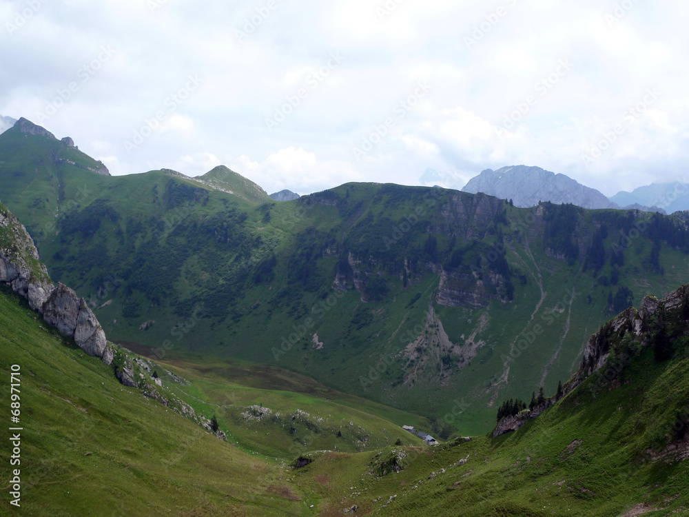 mountain bernex