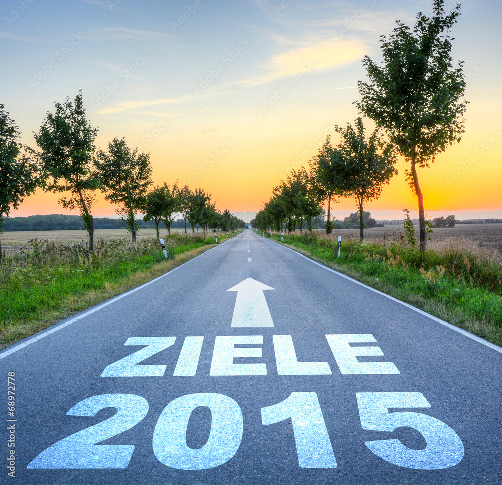 Obraz premium Ziele 2015
