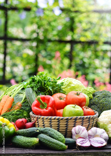 Variety of fresh organic vegetables in the garden