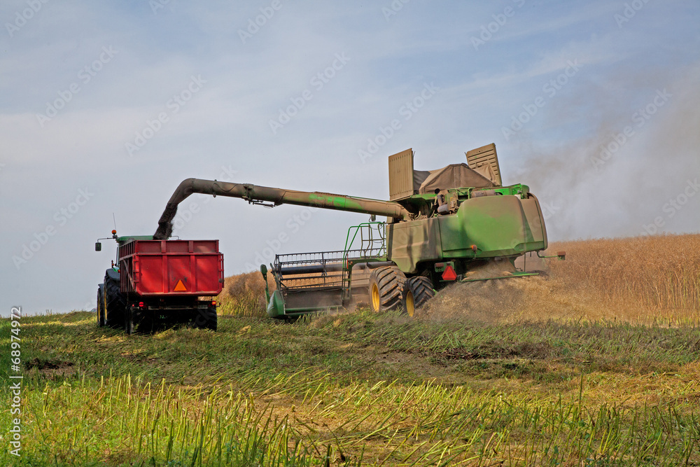 Obraz premium Harvester