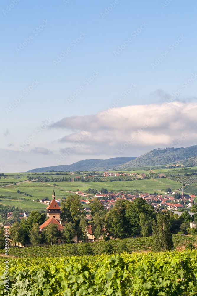 Fototapeta premium Blick auf den Geilweilerhof im Sommer