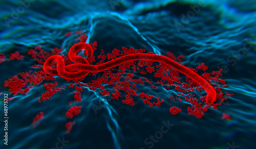 Ebola wirus 3