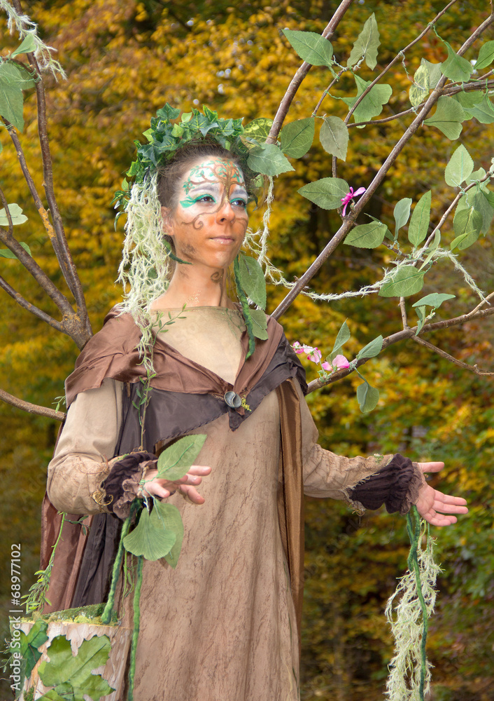 autumn fairy autumn fairy