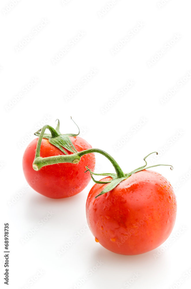 Tomato isolated on white