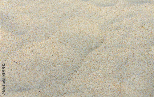 sand dunes on beach for background