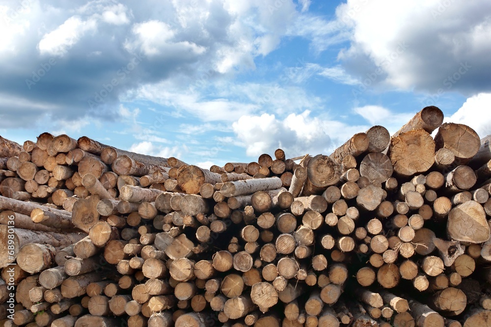 Woodpile of cut Lumber