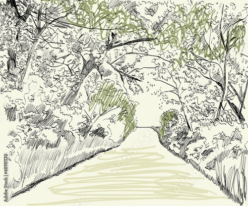 Summer landscape