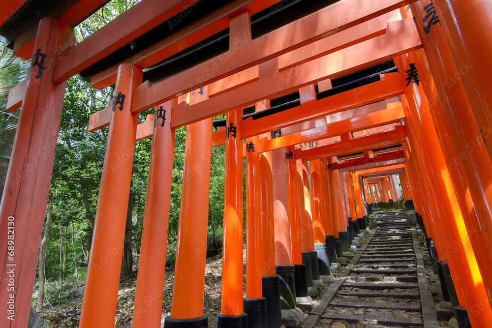 Thousands of Torii with stone steps Thousands of Torii with stone steps