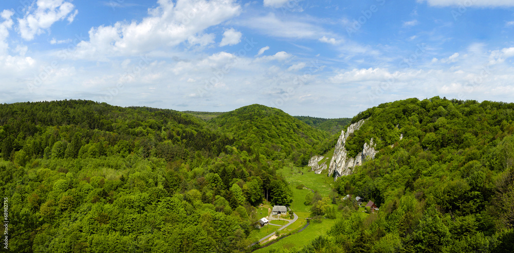 Obraz premium Summer in Ojcow National Park.