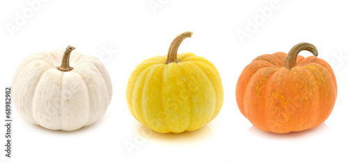 Fresh yellow pumpkin,white pumpkin and orange pumpkin isolated o