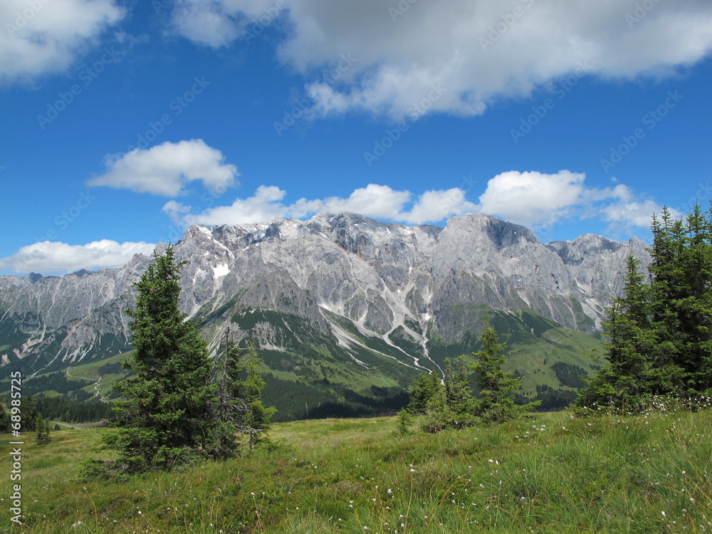 Fototapeta premium hochgebirge