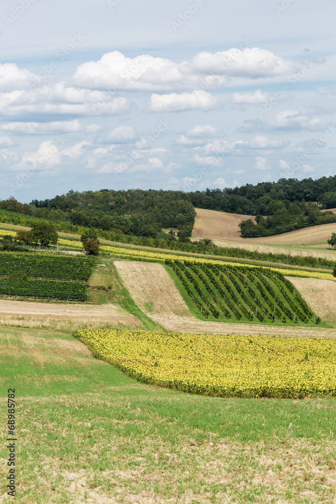 Landwirtschaftliche Landschaft Landwirtschaftliche Landschaft