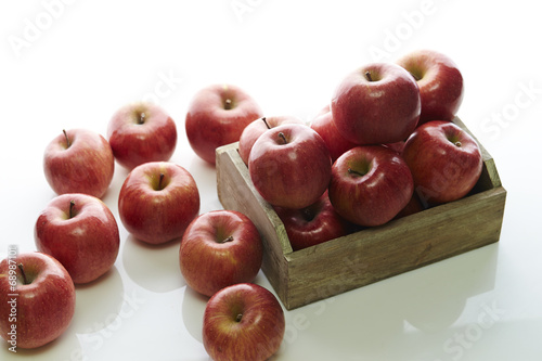 apples photo