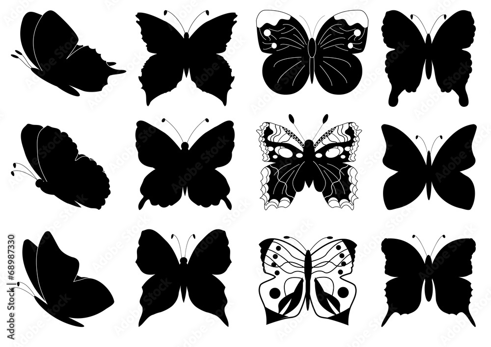 Butterflies set for design