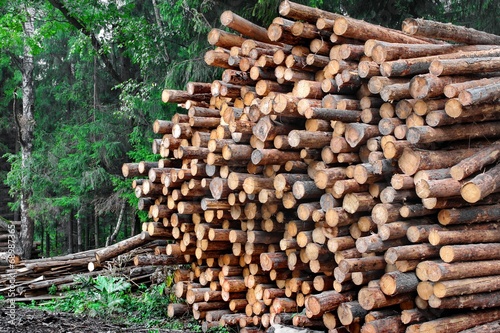 Industrial logging