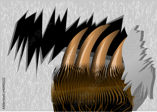 bear claws tearing wood