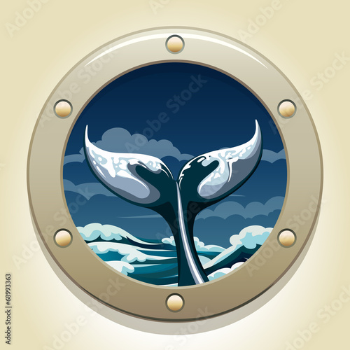 whale tail