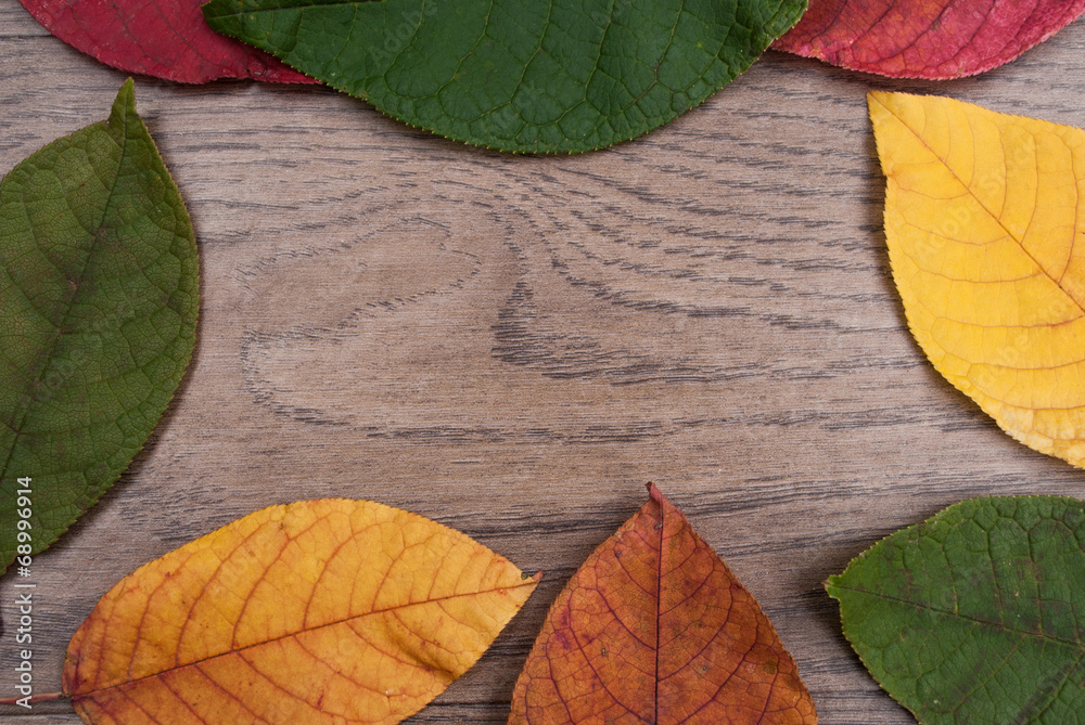 Holz Hintergrund mit Herbstlaub