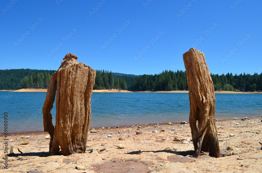 Tree stump, Lake Jenkinson, Sierra Nevada, California