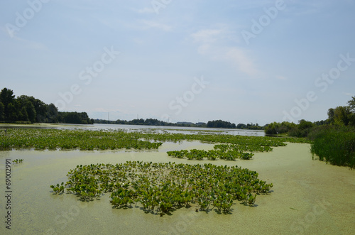 Φωτογραφία marsh and forest in John Heinz Wildlife Refuge