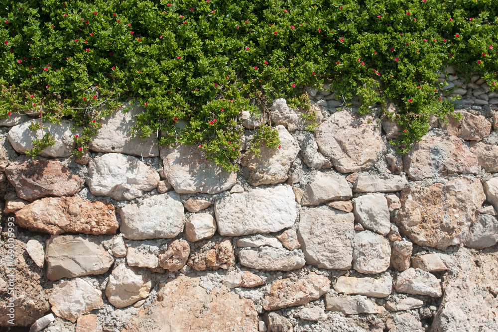 Steinmauer mit Blumen StockFoto Adobe Stock