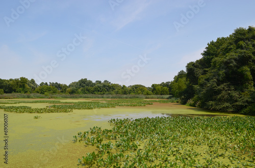 Εκτύπωση καμβά marsh and forest in John Heinz Wildlife Refuge