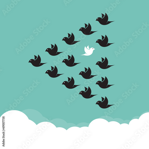 Flock of birds flying in the sky, Different concepts