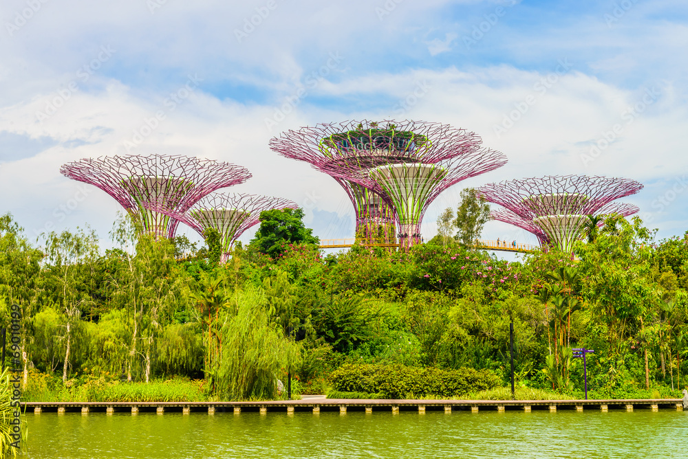 Fototapeta premium Garden by the bay