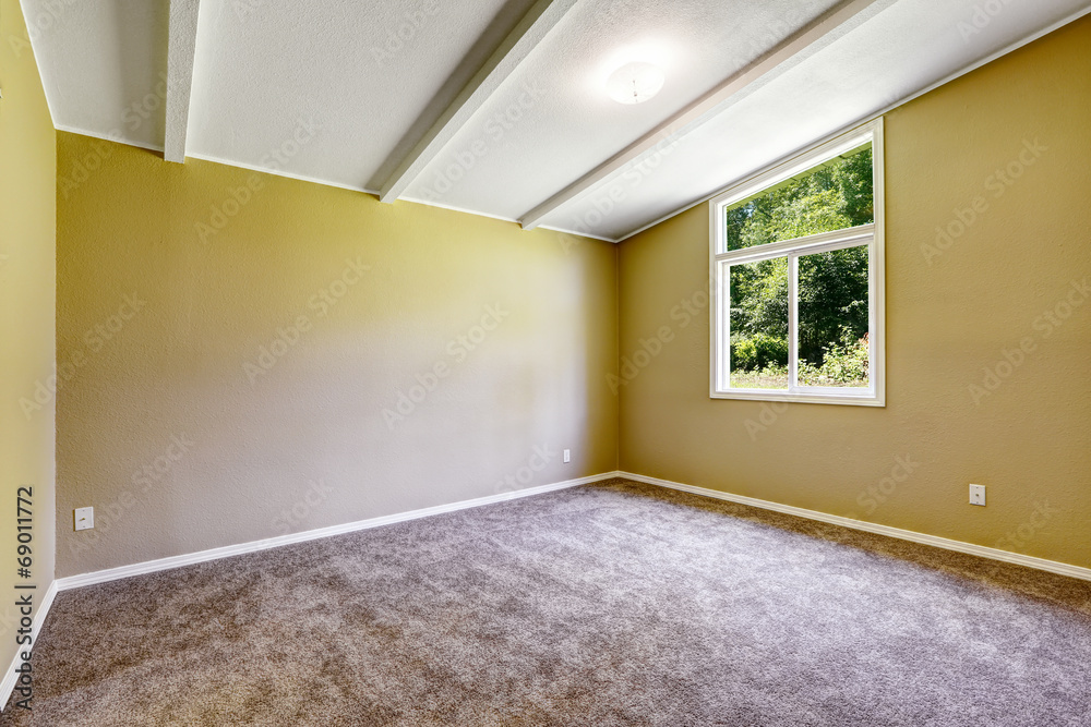 Obraz premium Empty room with soft brown carpet floor and vaulted ceiling