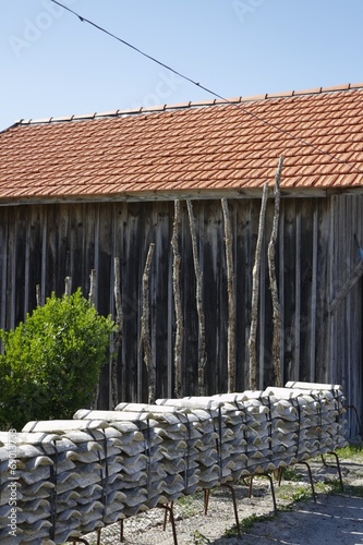 cabane d' ostreiculteur et tuiles de chaux - bassin d'arcachon photo